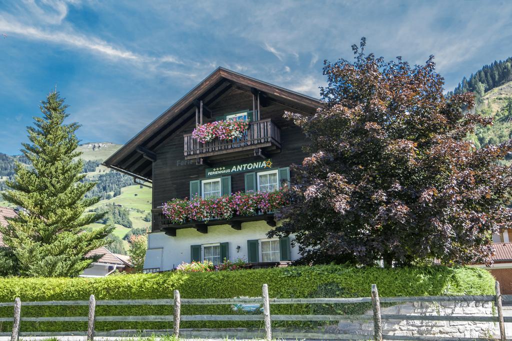 Ferienhaus Antonia Дорфгаштайн Экстерьер фото